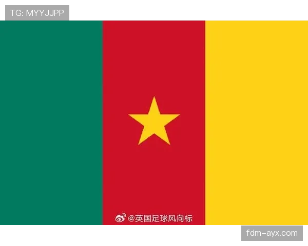 非洲国家杯今日赛况与最新进展